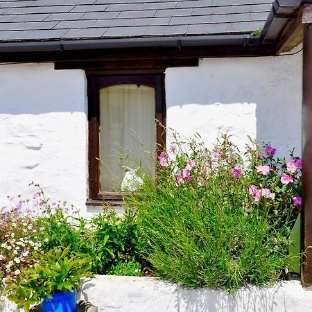 Stunning Annexe 1 Luxury Bedroom, Eating Area & Bathroom Only! Truro Bagian luar foto