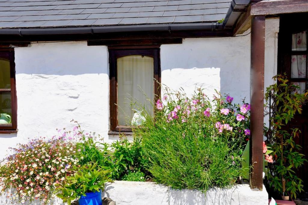 Stunning Annexe 1 Luxury Bedroom, Eating Area & Bathroom Only! Truro Bagian luar foto