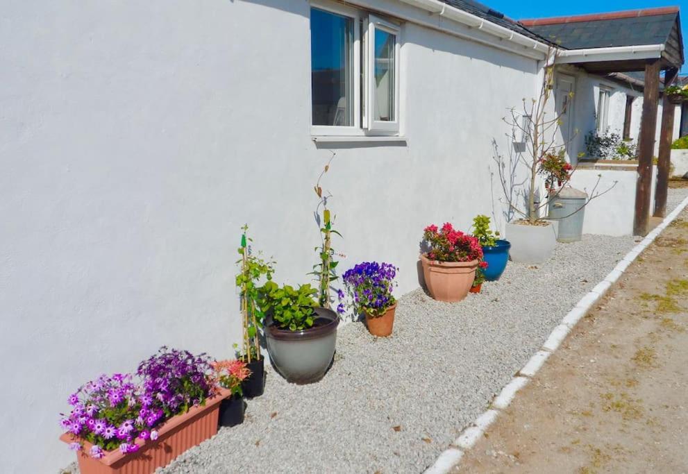 Stunning Annexe 1 Luxury Bedroom, Eating Area & Bathroom Only! Truro Bagian luar foto